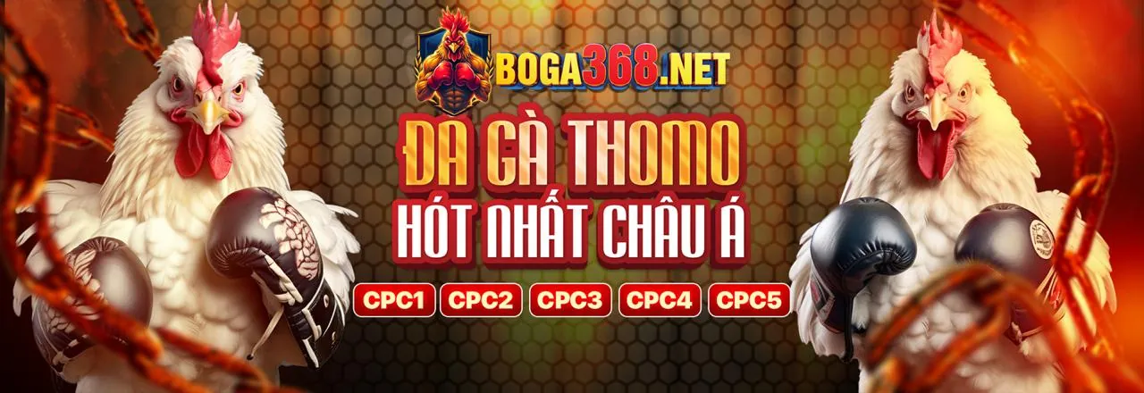 Hình ảnh giới thiệu Chương Trình VIP đá gà c1 thomo
