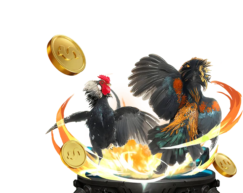 Kênh thanh toán nhanh chóng